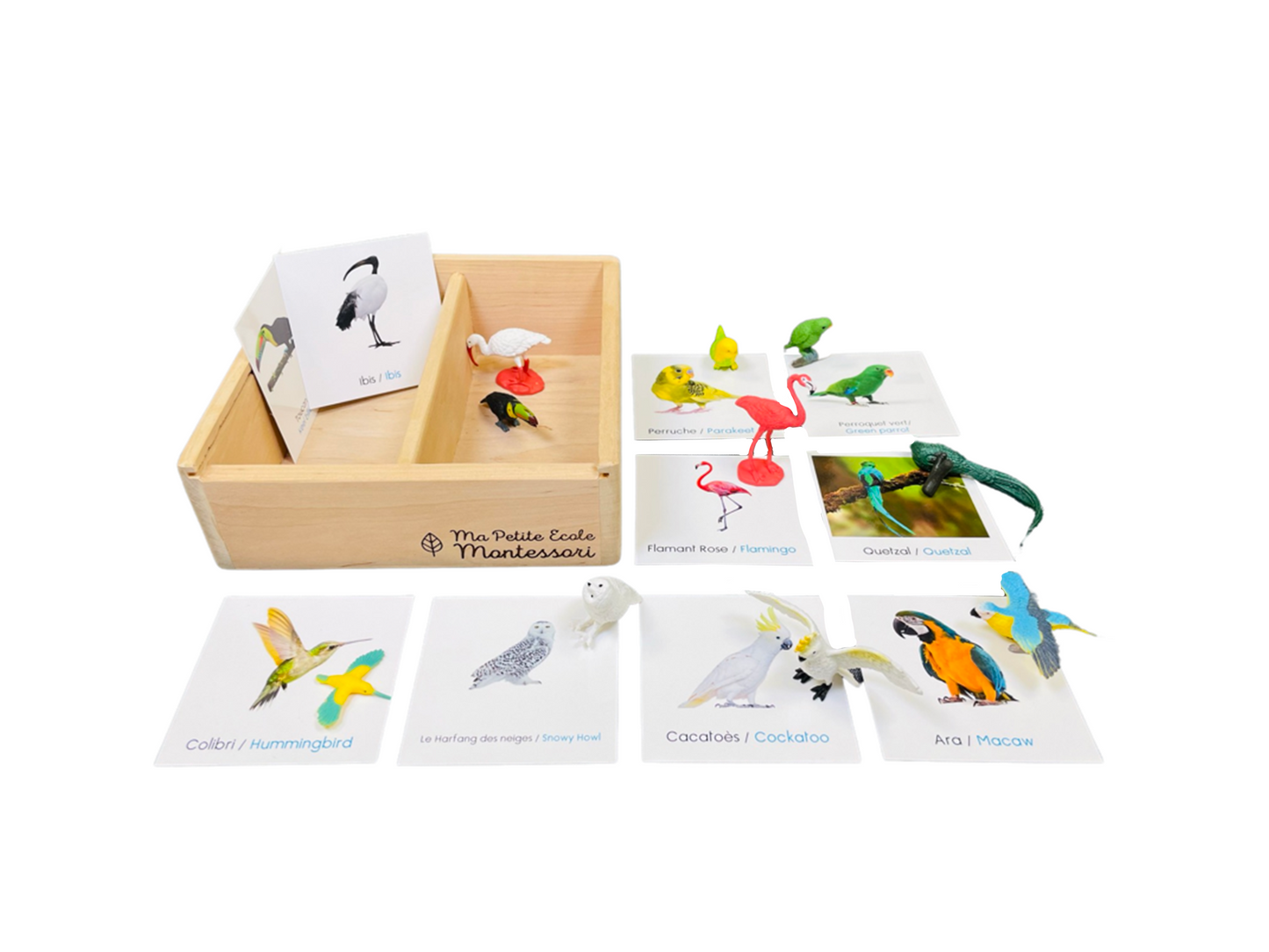Box figurines exotic birds