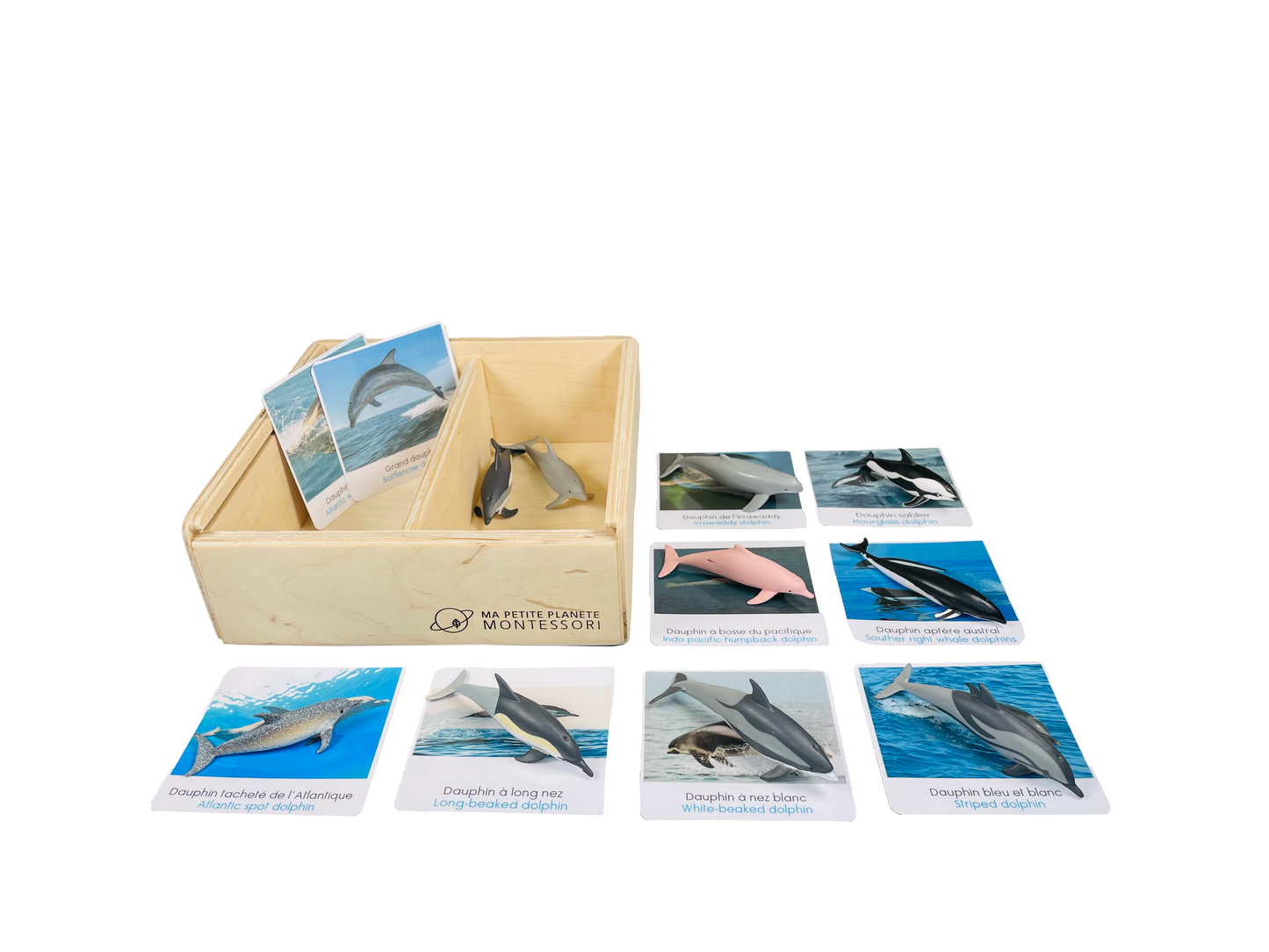 Dolphin figurine box