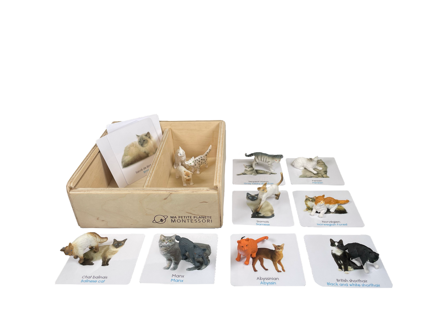 Box figurines cats
