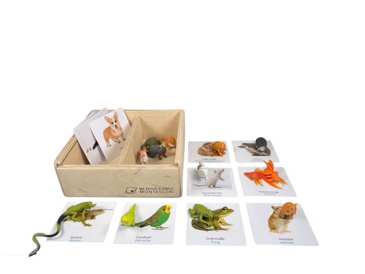 Cartes d'apprentissage en bois allemand Jouets Montessori Développement du  langage pour les enfants Cartes d'animaux Jouets Waldorf -  France