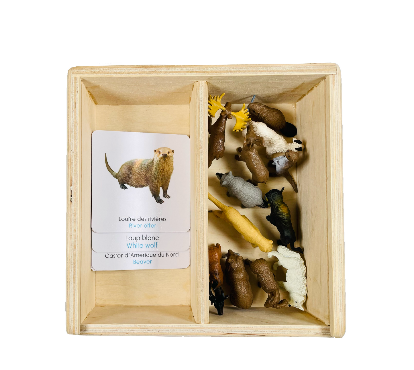 North American animals figurine box