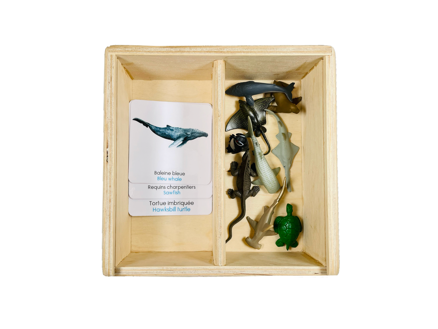 Endangered marine animals figurine box