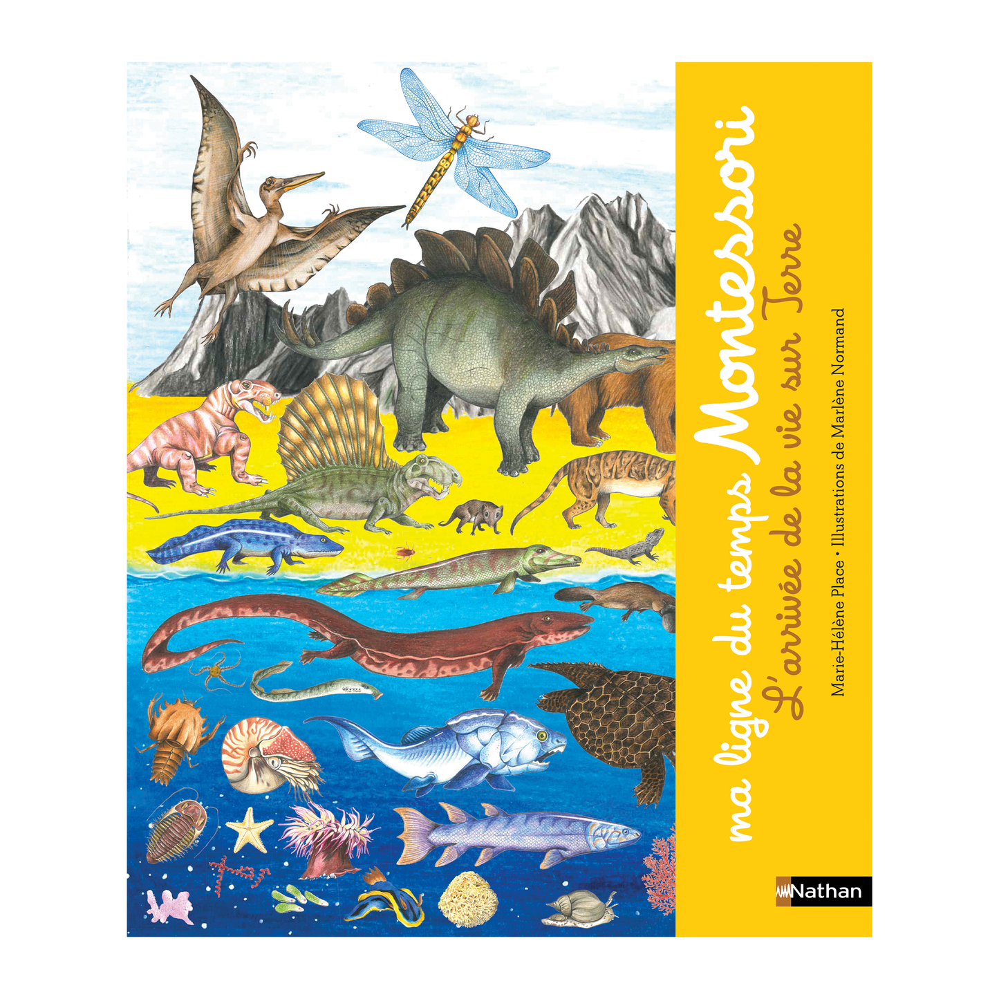 Ma ligne du temps Montessori - L'arrivée de la vie sur terre - Frise Montessori de 2,5 mètres