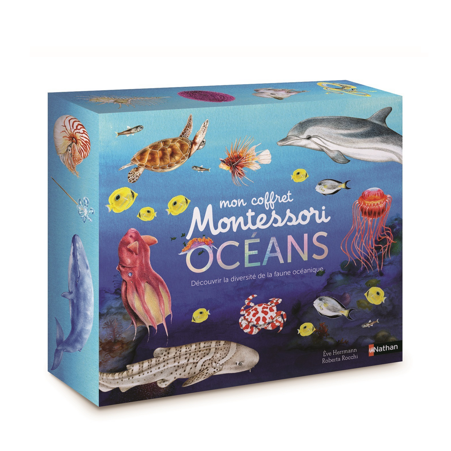 Mon coffret Montessori des océans - Pour découvrir la diversité de la faune océanique -Nathan