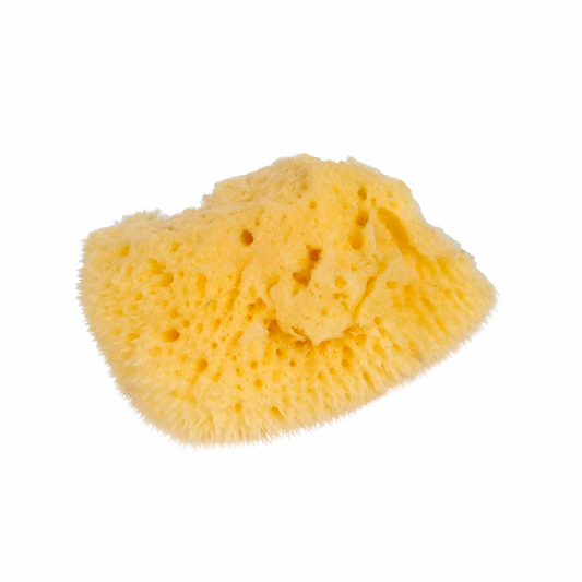 Small natural sponge - Nienhuis AMI