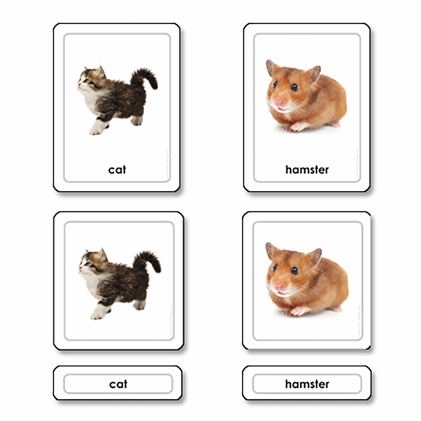3-Fold Pet Cards - Nienhuis AMI