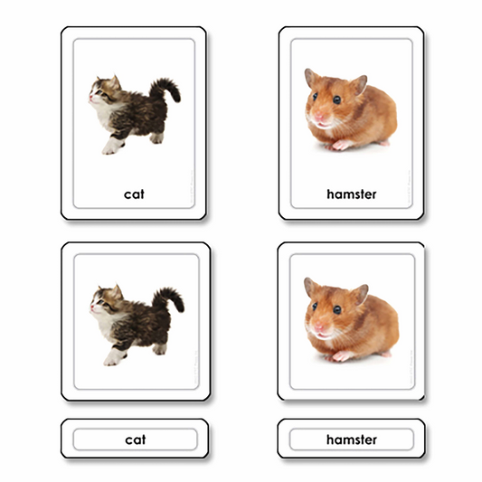 Cartes à 3 volets pour animaux de compagnie (en anglais) - Nienhuis AMI