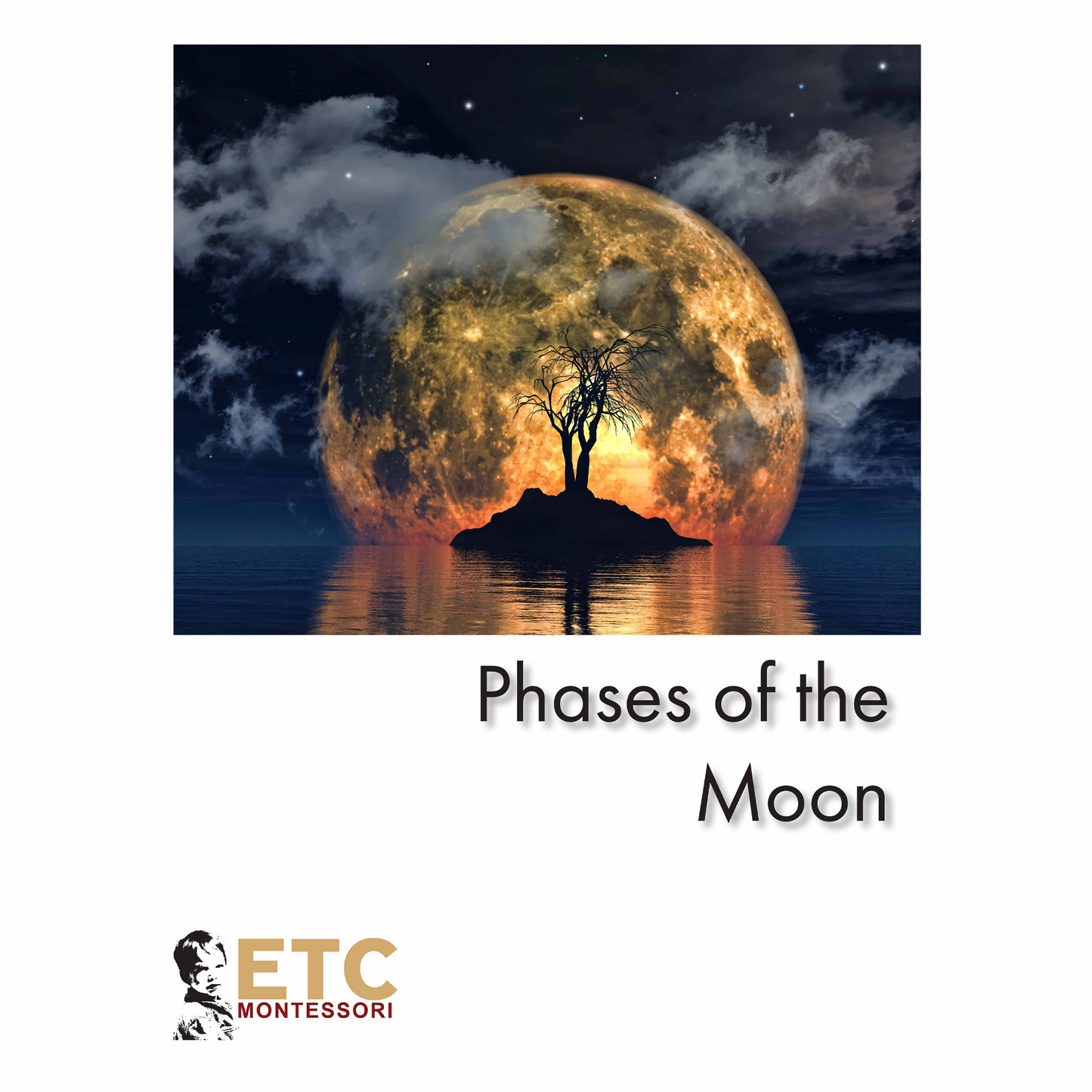Phases of the Moon Nomenclature - Nienhuis AMI