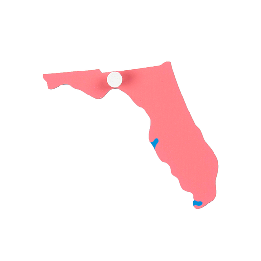 USA-Puzzleteil: Florida - Nienhuis AMI
