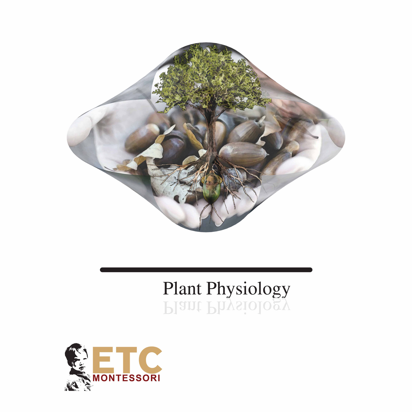 Plant Physiology - Nienhuis AMI