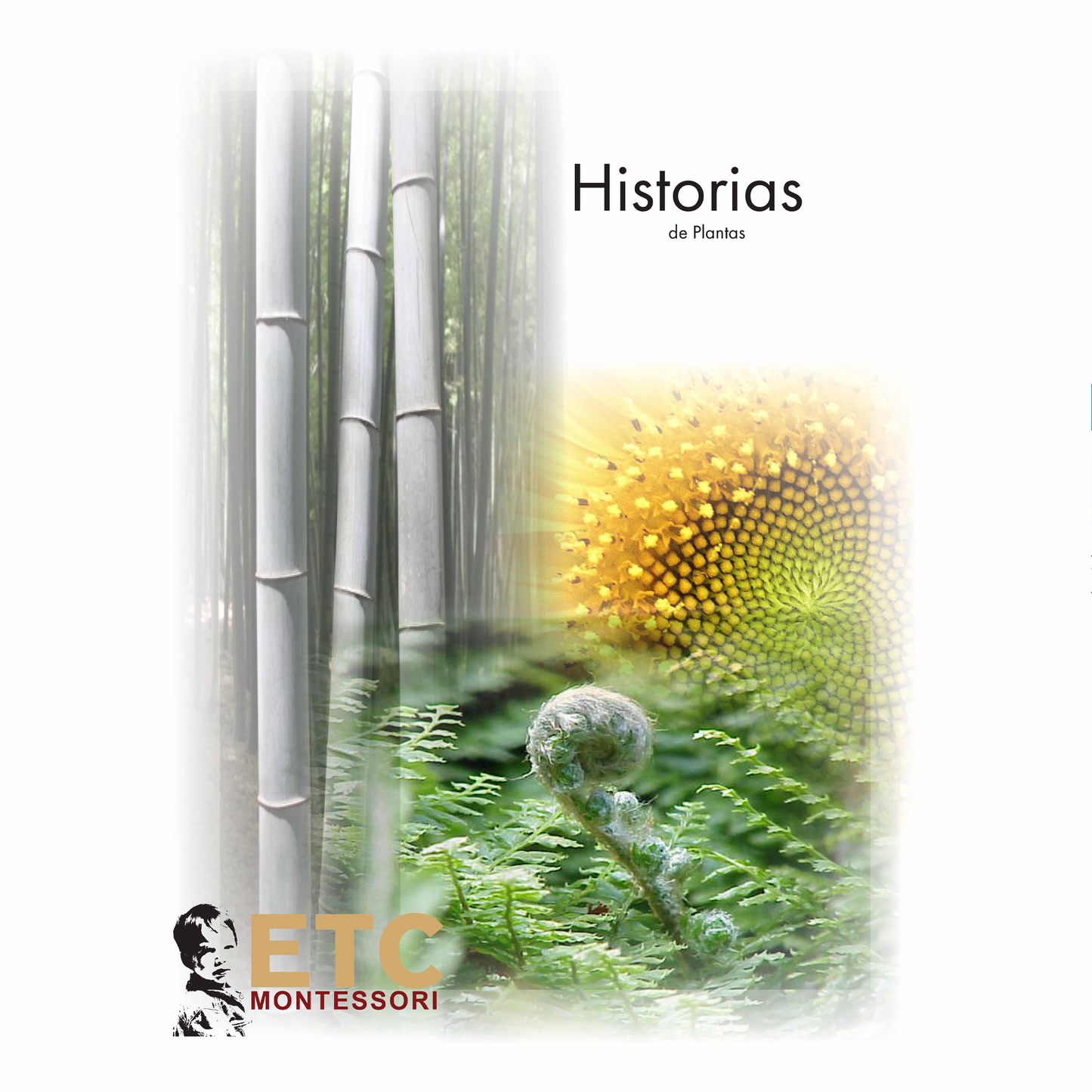 Plant Stories - Nienhuis AMI
