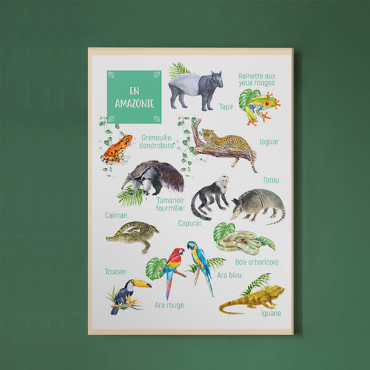 Posters des animaux d'Amazonie