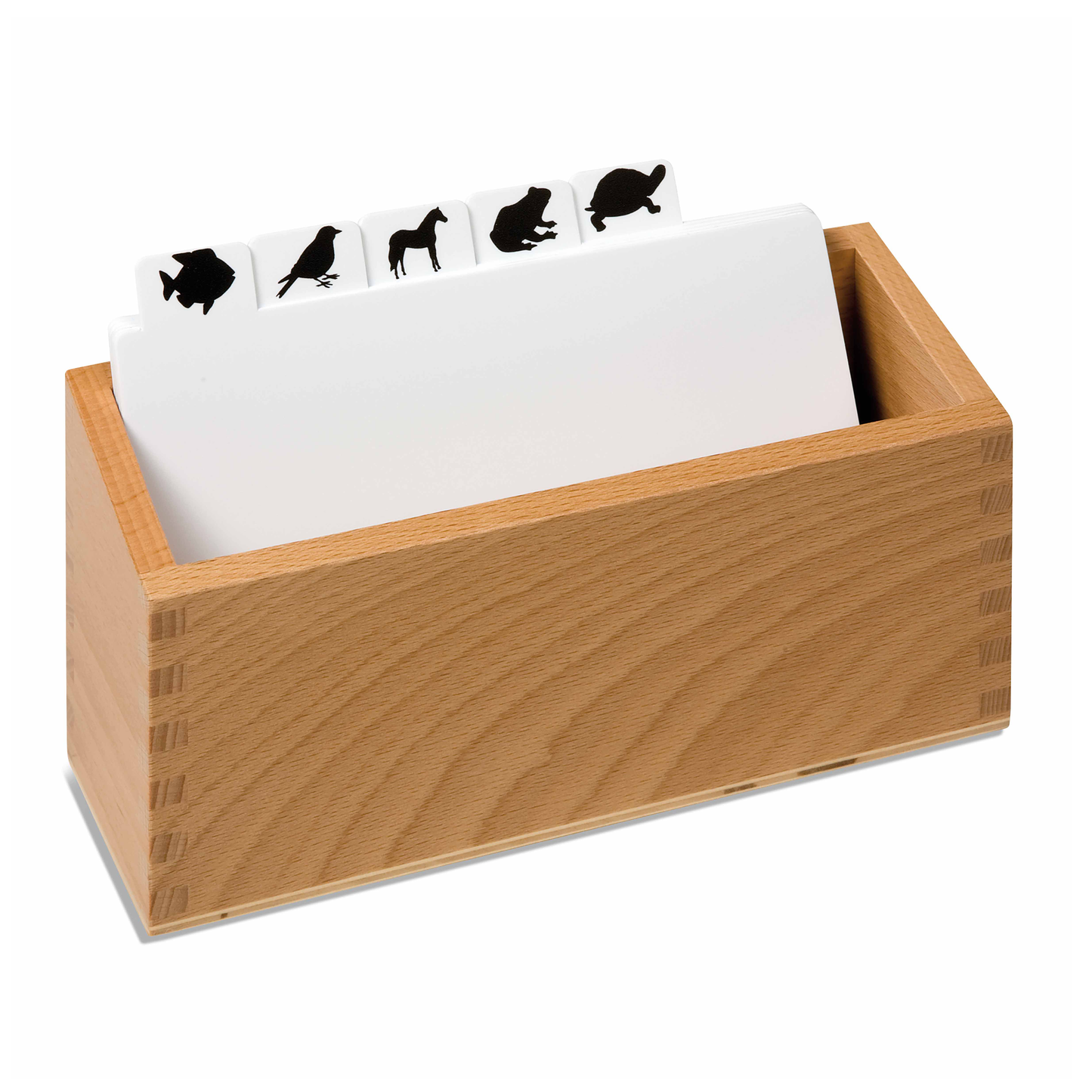 Storage box for Zoology drawing models - Nienhuis AMI
