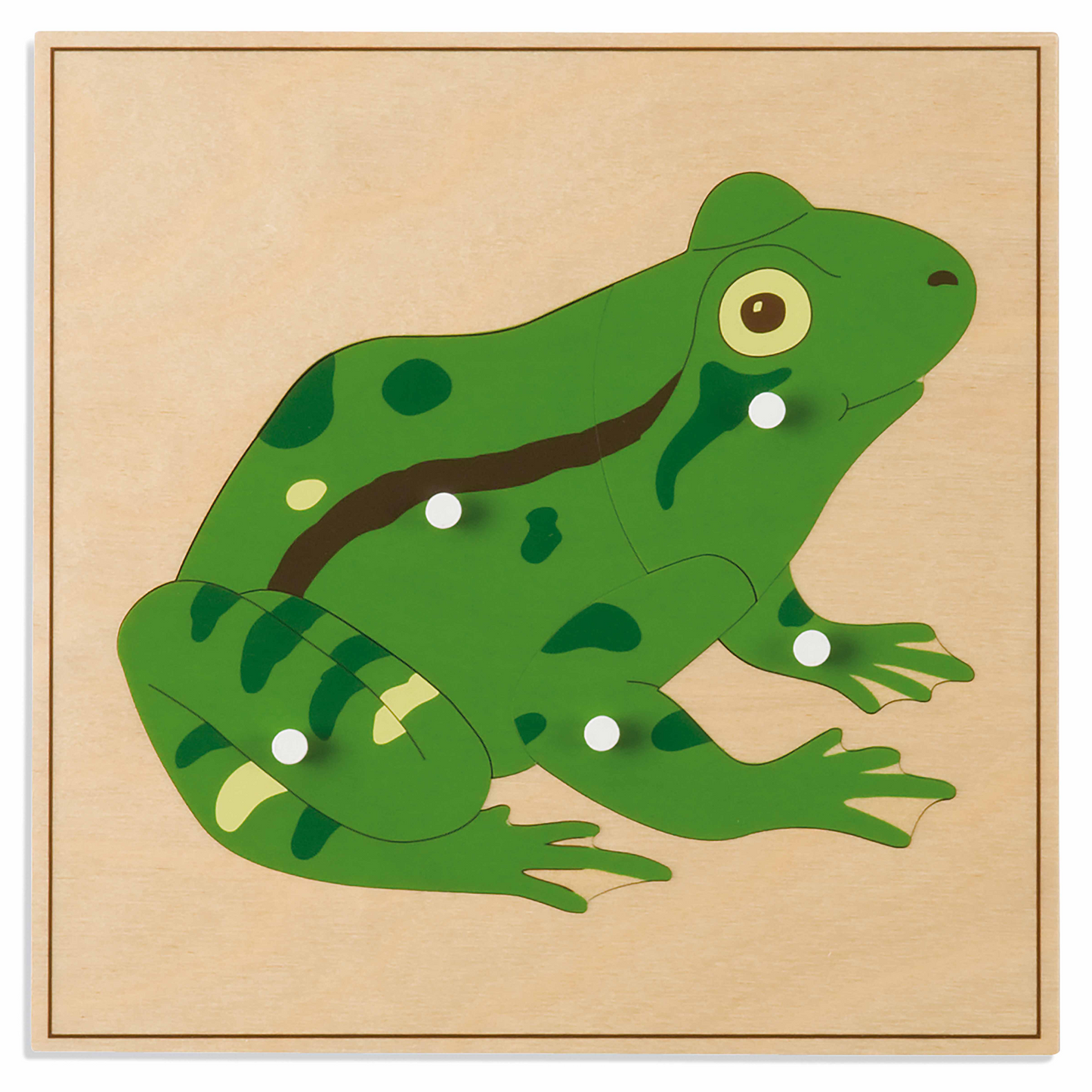 Animal puzzle: Frog - Nienhuis AMI