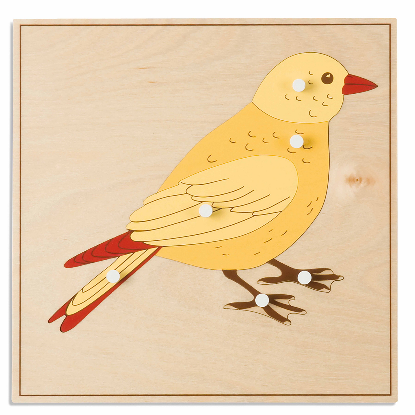 Animal puzzle: Bird - Nienhuis AMI