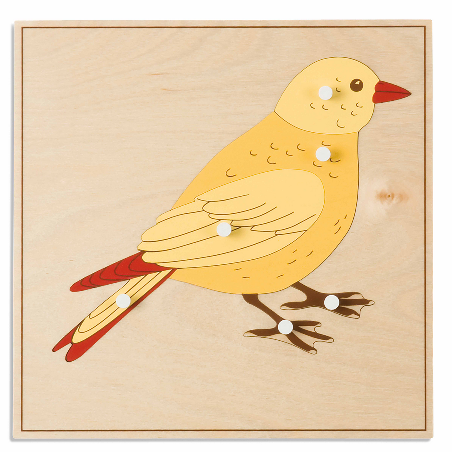 Tierpuzzle: Vogel - Nienhuis AMI