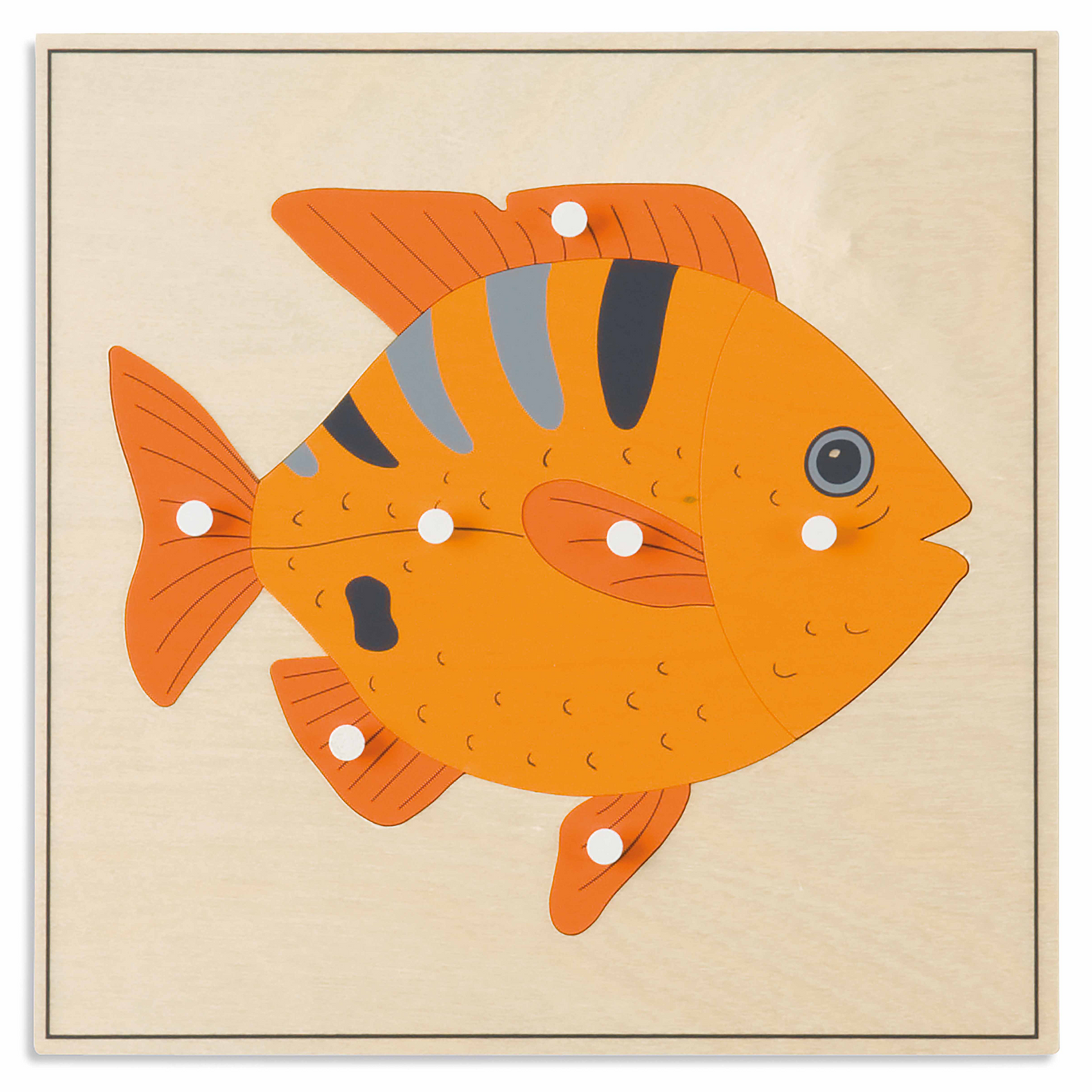 Animal puzzle: Fish - Nienhuis AMI
