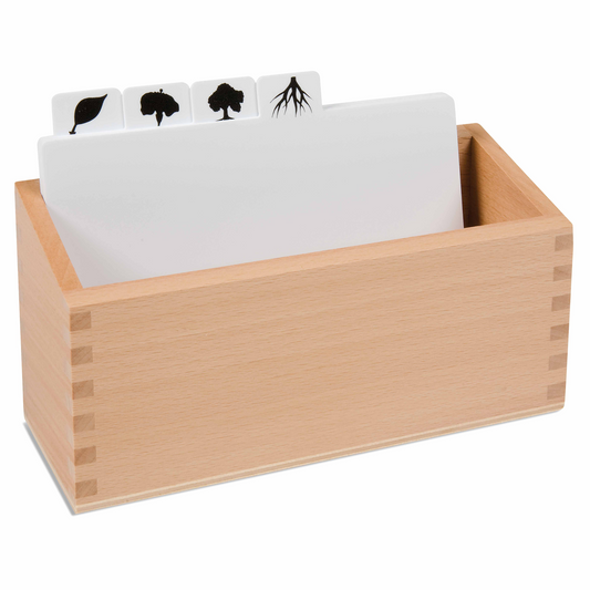 Botanical drawing template storage box - Nienhuis AMI