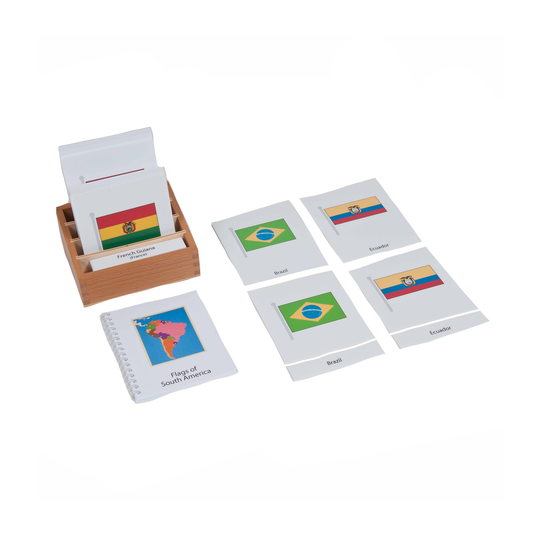 Flag Maps of South America - Nienhuis AMI