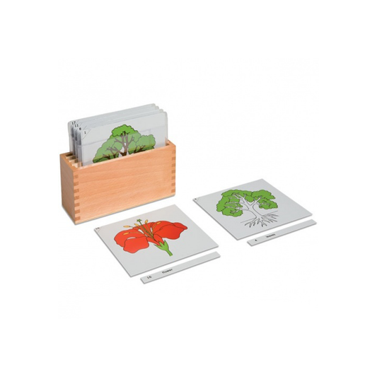Tellurium Activity Box - Nienhuis AMI