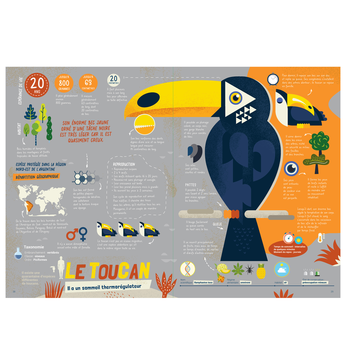 Les animaux, au dodo ! -Kimane