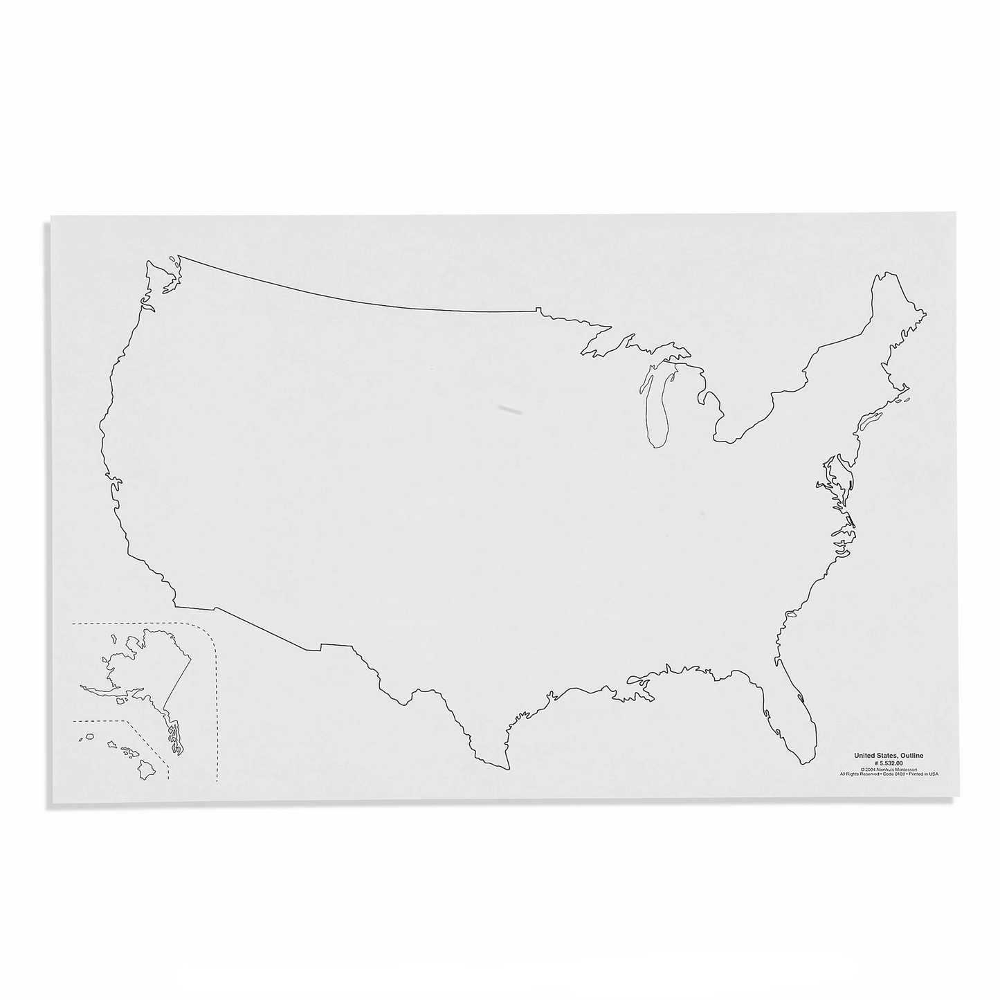 USA Silhouette x 50 - Nienhuis AMI