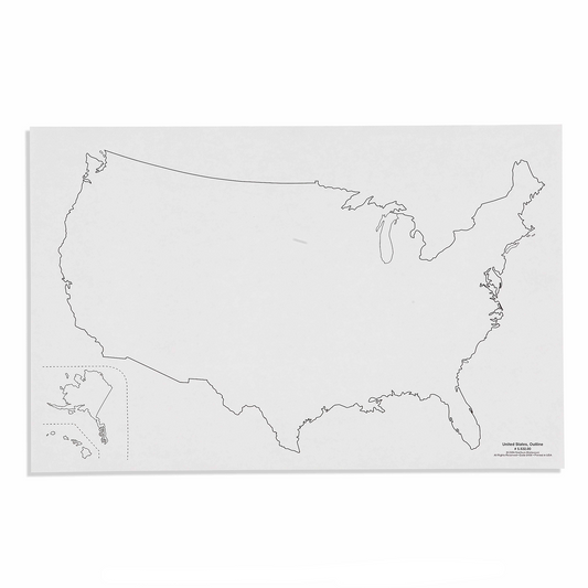 Silhouette des Etats-Unis x 50 - Nienhuis AMI