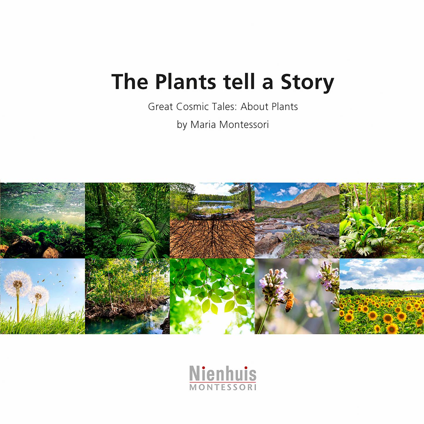 Story Of The Plants - Nienhuis AMI