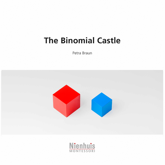 The Binomial Castle - Nienhuis AMI