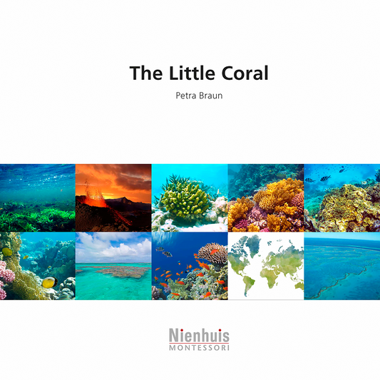 The Little Coral - Nienhuis AMI