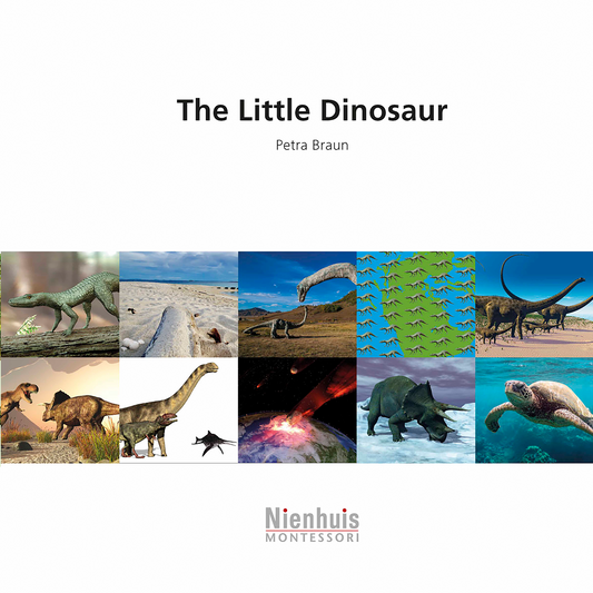 The Little Dinosaur - Nienhuis AMI