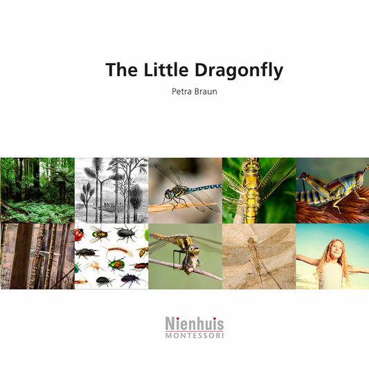 The Little Dragonfly - Nienhuis AMI