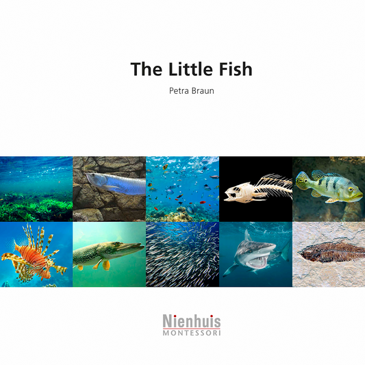 The Little Fish - Nienhuis AMI