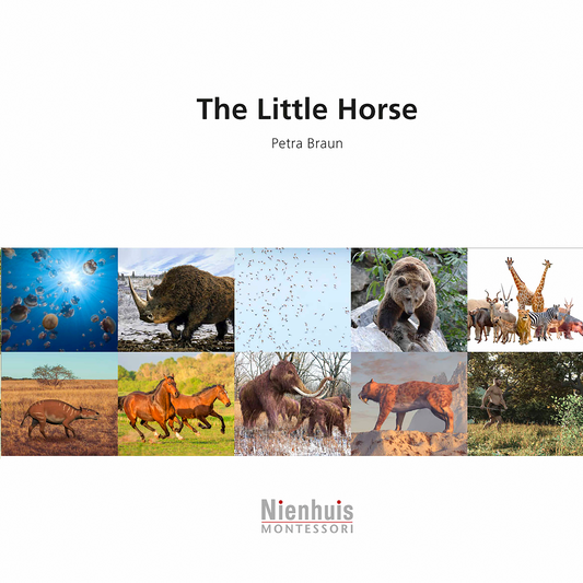 The Little Horse - Nienhuis AMI
