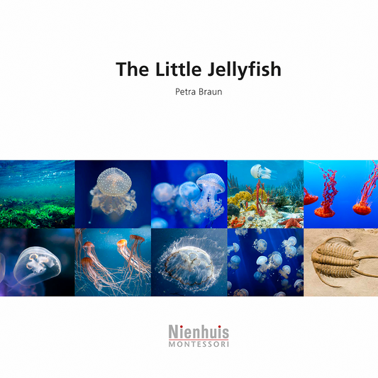 The Little Jellyfish - Nienhuis AMI