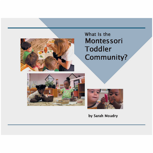 What Is The Montessori Toddler Community? - Nienhuis AMI