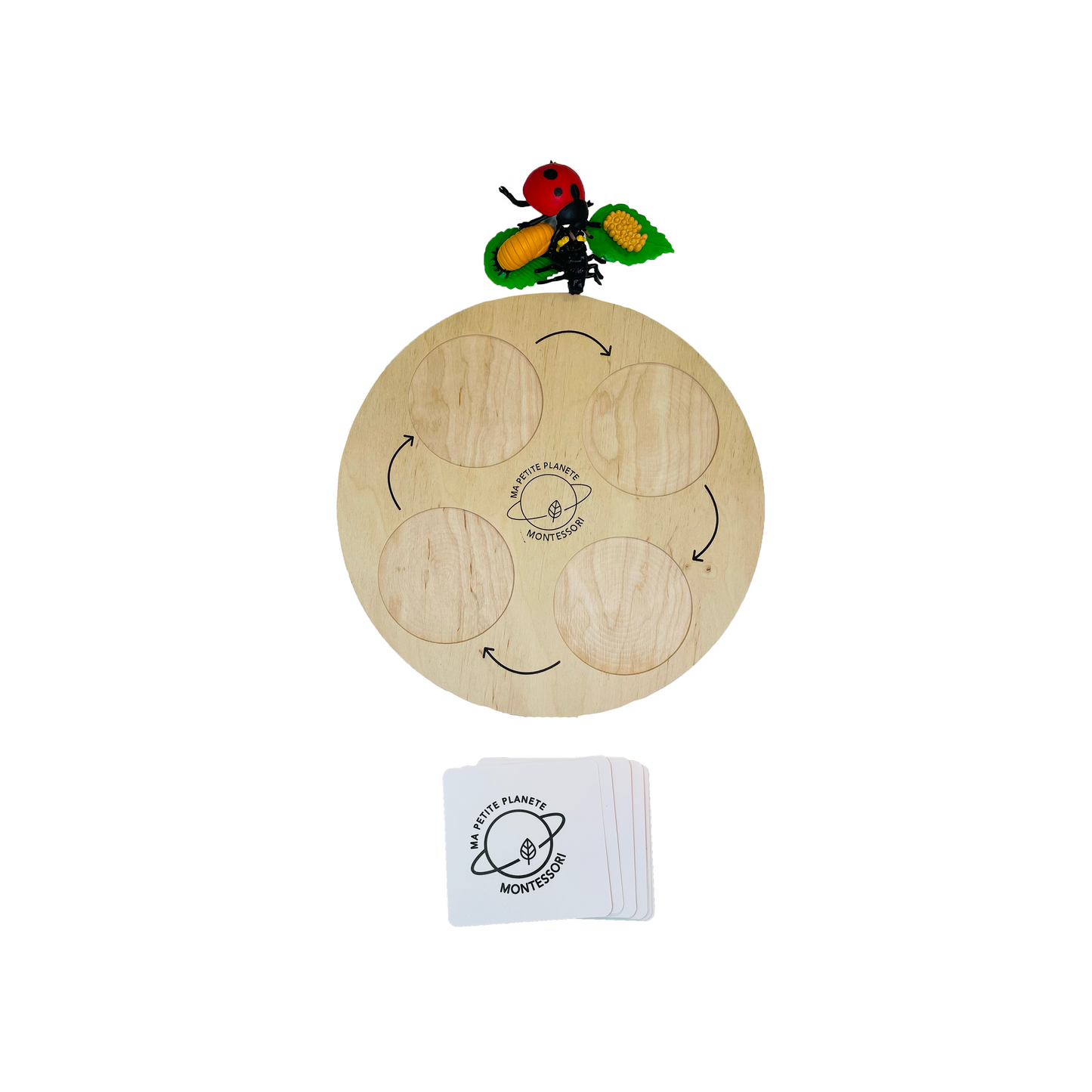 Coffret figurines le cycle de vie d'une coccinelle