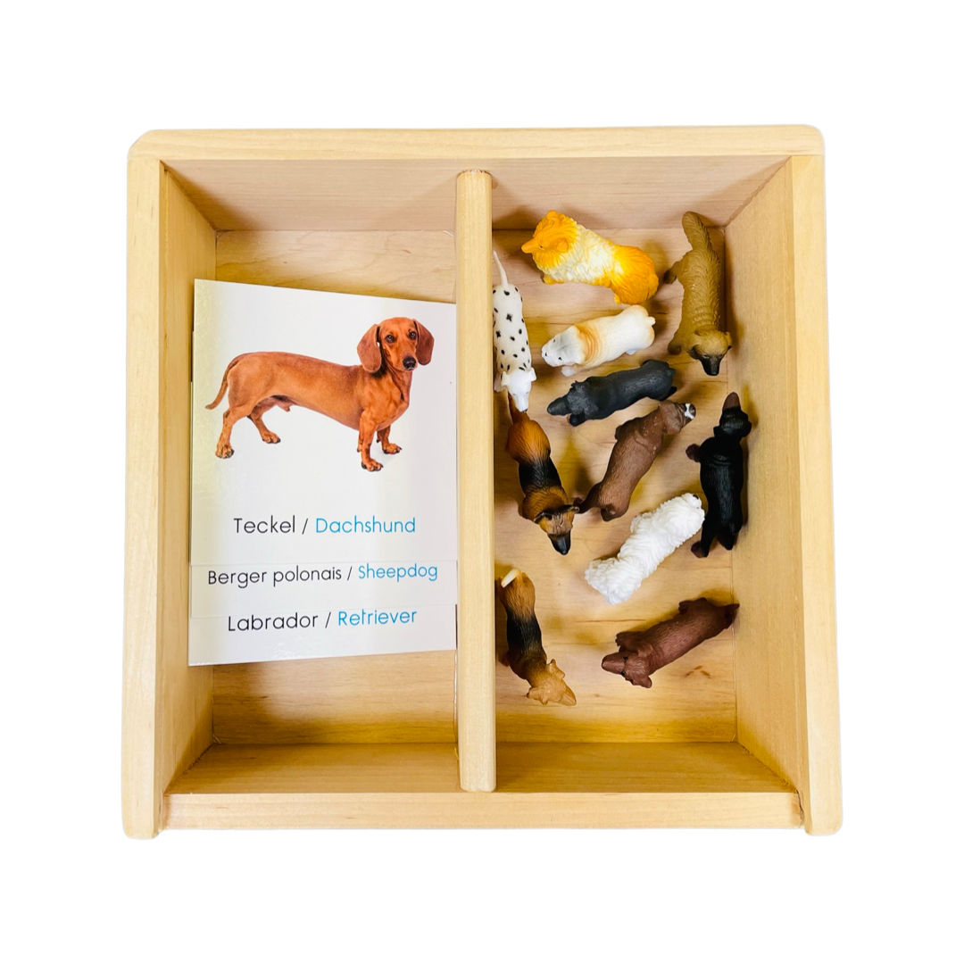 Box figurines dogs