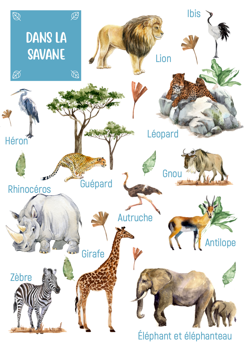 Posters des animaux de la savane – Ma Petite Planète Montessori