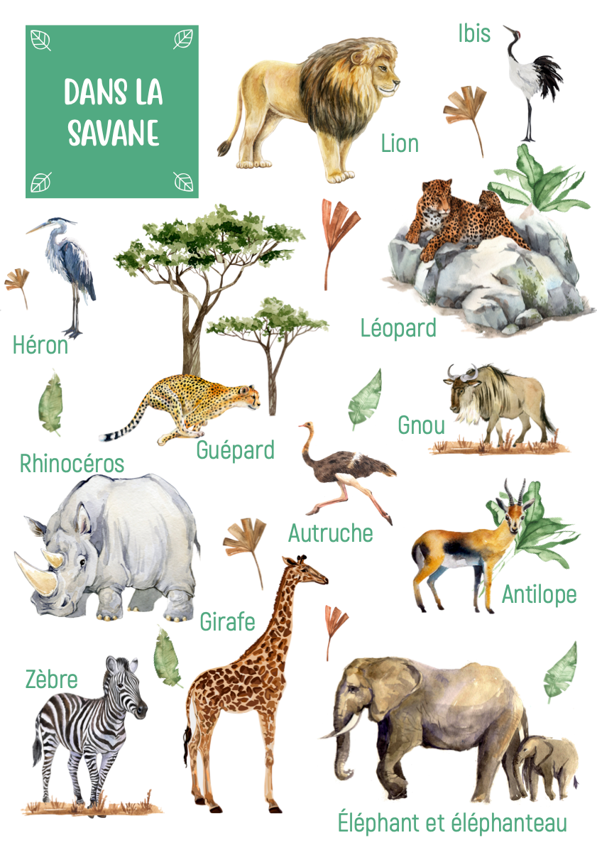 Posters des animaux de la savane