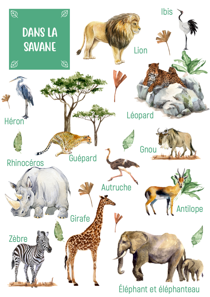 Savanna Animals Posters