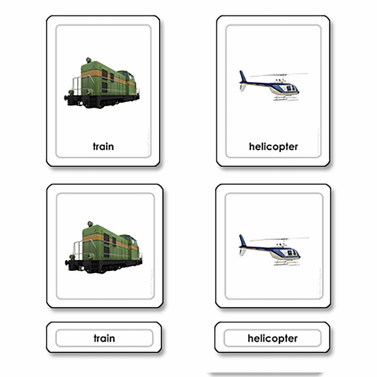 Transportkarten in 3 Teilen (auf Englisch) - Nienhuis AMI
