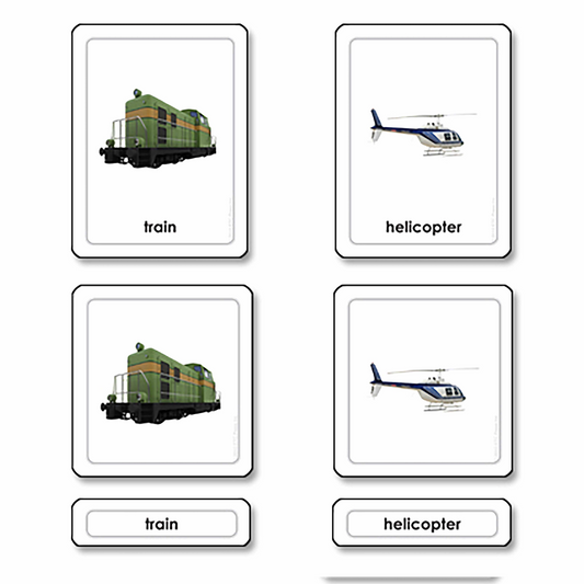 Cartes de transport en 3 parties (en anglais) - Nienhuis AMI